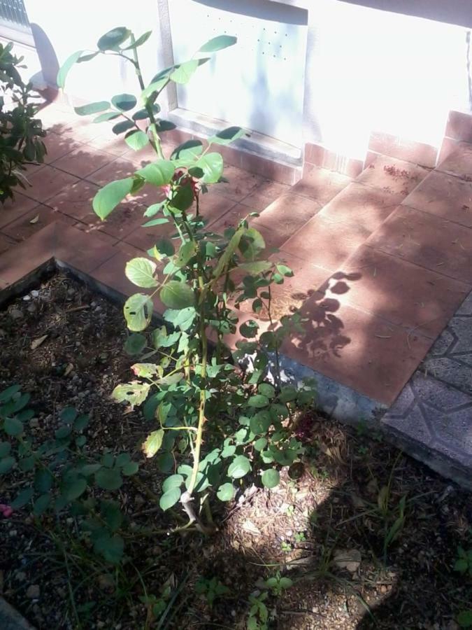 فندق Mandra Capreriaفي  Sperone المظهر الخارجي الصورة